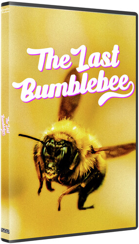 Last Bumblebee - Last Bumblebee / (Mod Ac3 Dol)