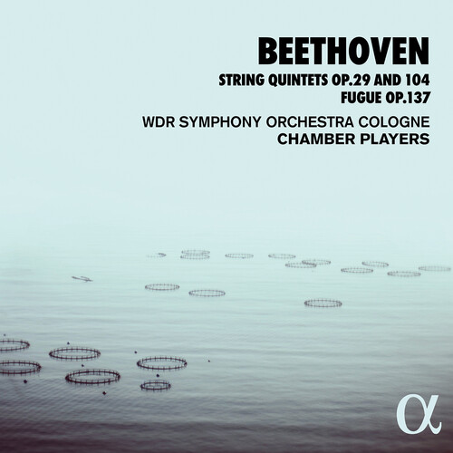 String Quintets 29 & 104