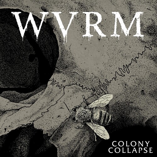 COLONY COLLAPSE