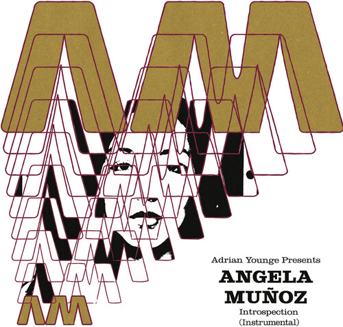 Angela Muñoz - Introspection (Instrumentals) vinyl record cover