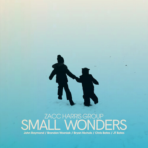 Zacc Harris Group - Small Wonders