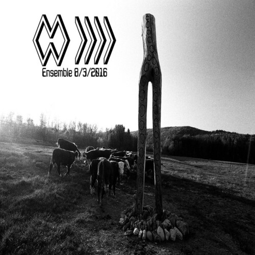 Ensemble 8 3 2016