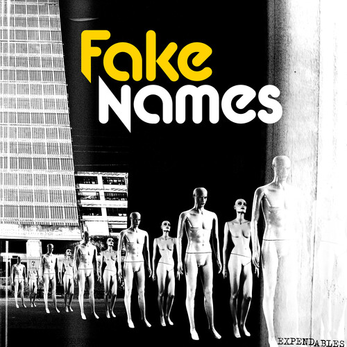 Fake Names - Expendables [LP]