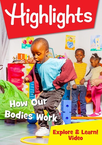 Highlights - How Our Bodies Work