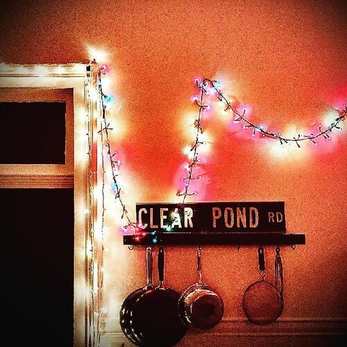 Kristin Hersh - Clear Pond Road [Clear LP]