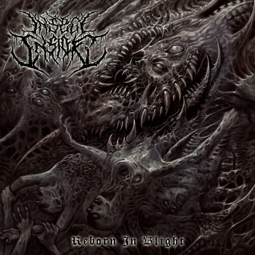 Insect Inside - Reborn In Blight vinyl record cover