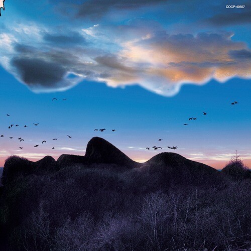 SUPER VIEW - LIMITED EDITION