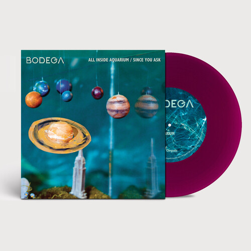 Bodega - All Inside Aquarium