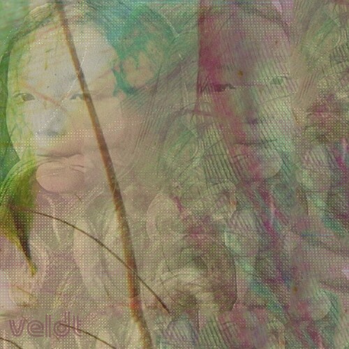 The Veldt - Symmetry / Slow Grind - Single