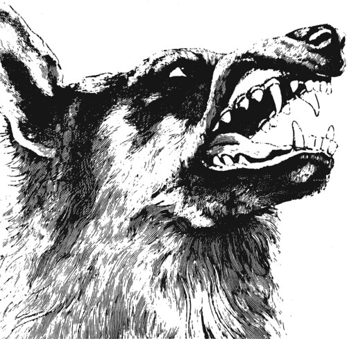 Crippled Black Phoenix - Vigilante