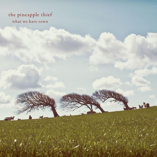 The Pineapple Thief - What We Have Sown vinyl record cover