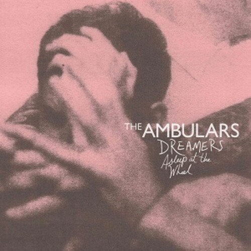 DREAMERS ASLEEP AT THE WHEEL