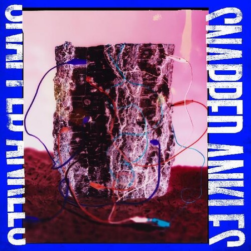 Forest Of Your Problems