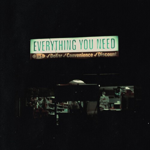 Single Mothers - Everything You Need vinyl record cover