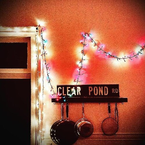 Kristin Hersh - Clear Pond Road vinyl record cover