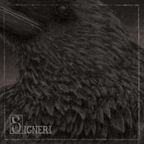 Signeri