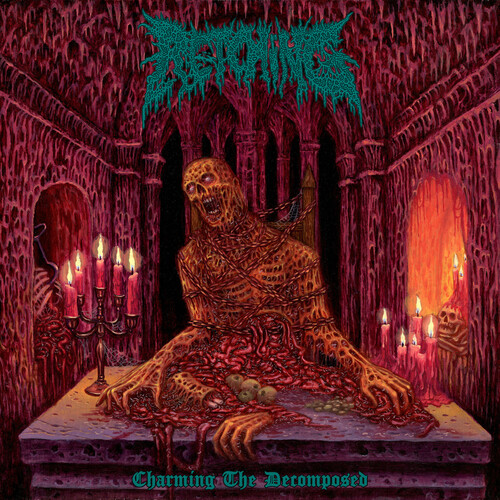 Retching - Charming The Decomposed vinyl record cover