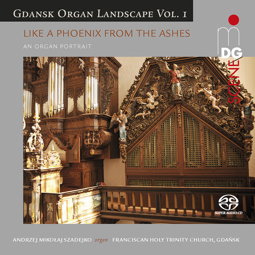 Gdansk Organ Landscape 1