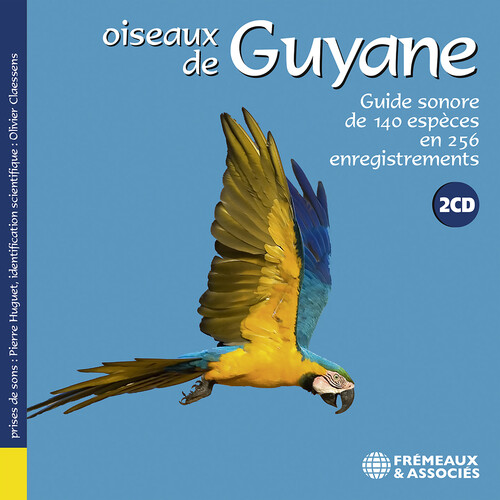 Oiseaux de Guyane