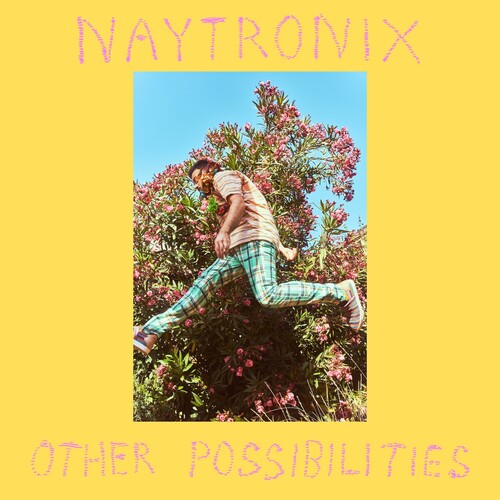 Naytronix - Other Possibilities