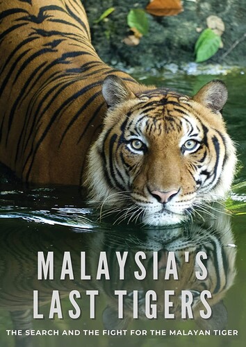 Malaysia's Last Tigers - Malaysia's Last Tigers