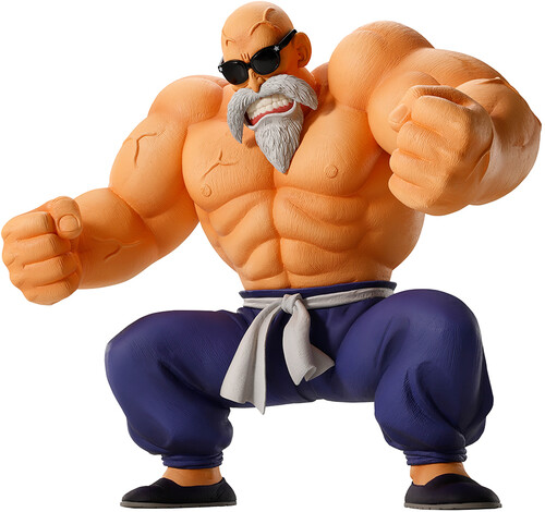 DRAGON BALL - MASTER ROSHI (SON GOKU TRAINING SEC)