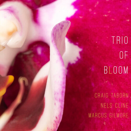 Trio Of Bloom - Trio Of Bloom vinyl record cover