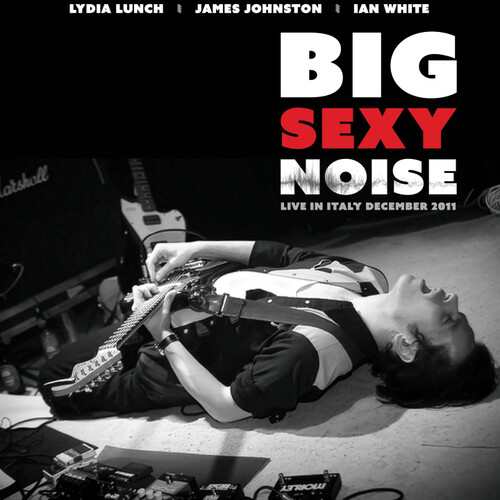 Big Sexy Noise - Live In Italy vinyl record cover