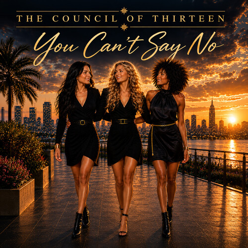 Council Of Thirteen - You Can't Say No vinyl record cover