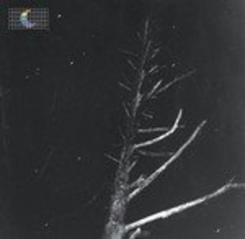 (Colour of the Night) Satellite