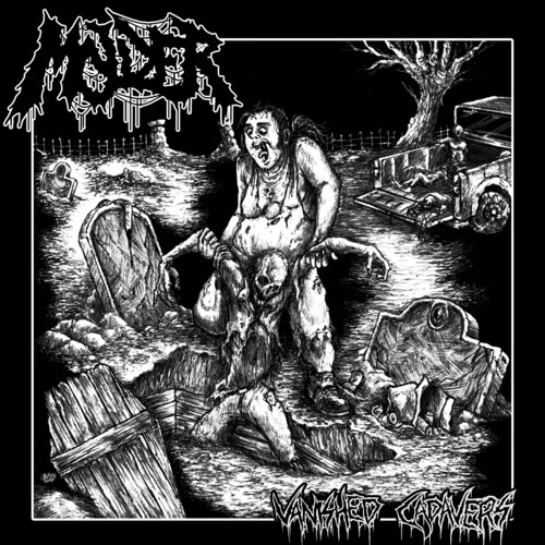 Vanished Cadavers