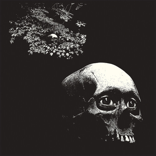 Thee Oh Sees - Foul Form