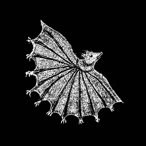 Ignore Grief [Explicit Content]