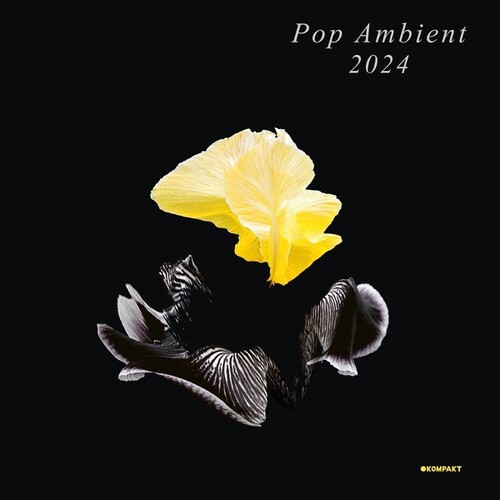 Pop Ambient 2024 / Various - Pop Ambient 2024 / Various