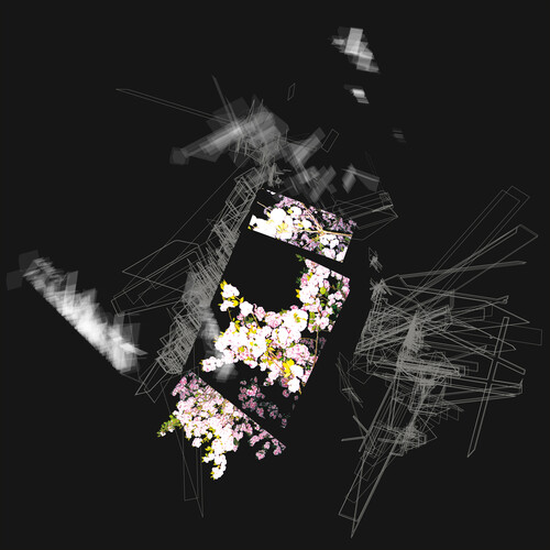 Capture & Release - GREEN