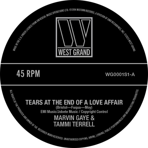Marvin Gaye  / Terrell,Tami - Tears At The End Of A Love Affair