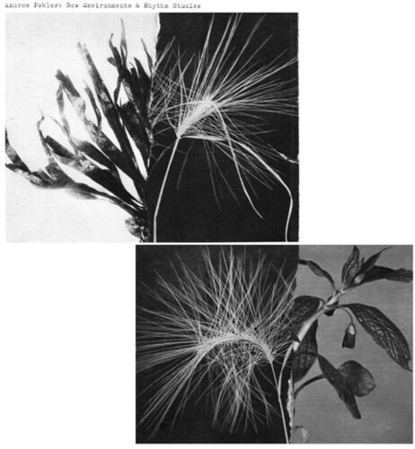 Pekler, Andrew - New Environments And Rhythm Studies vinyl record cover