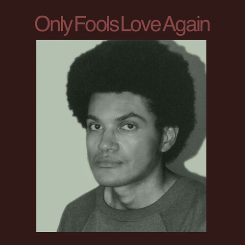 Danny Ayala - Only Fools Love Again vinyl record cover