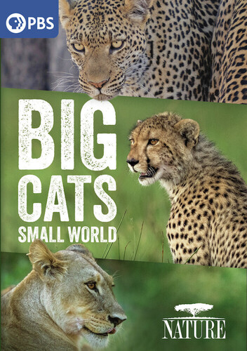 Nature: Big Cats, Small World
