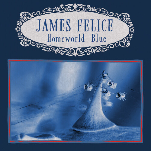 Homeworld Blue - Black Ice (Blk)