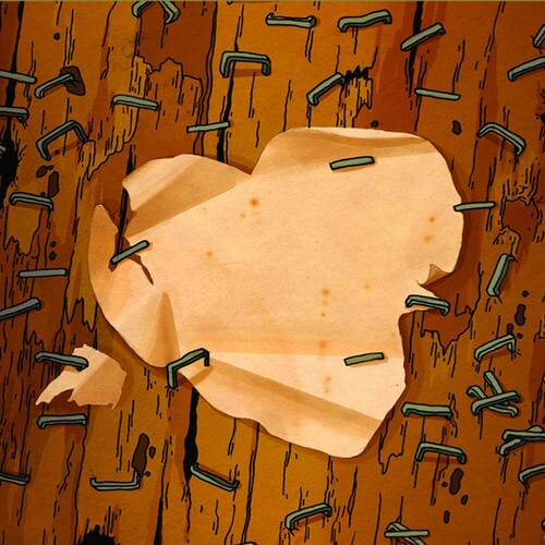 Loblolly Boy - Paper Heart EP vinyl record cover