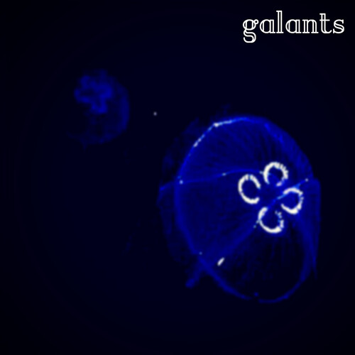 Galants