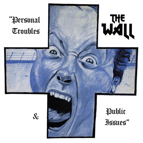 Personal Troubles & Public Issues (Blue)