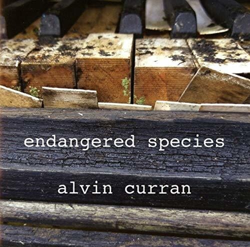 Alvin Curran - Endangered Species