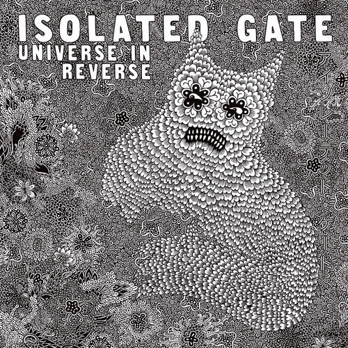 Universe In Reverse