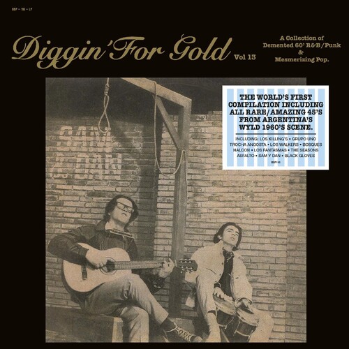 Diggin' For Gold Vol. 13 / Various - Diggin' For Gold Vol. 13 / Various