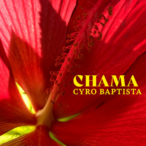 Cyro Baptista - Chama