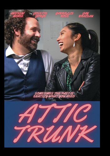 Attic Trunk