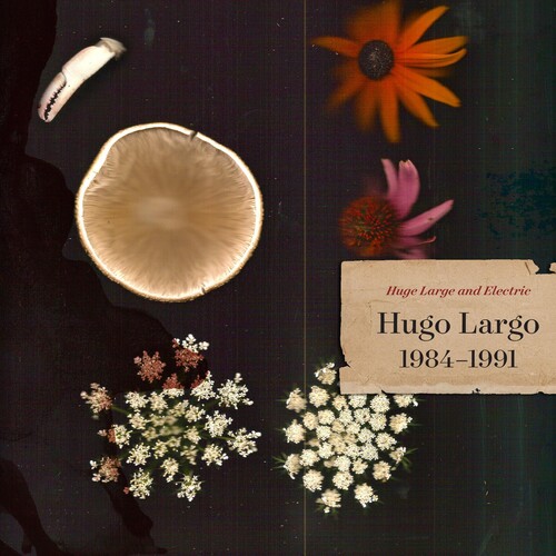 Huge Large And Electric: Hugo Largo 1984-1991