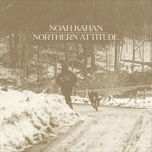 Northern Attitude - Black Ice Colored Vinyl with Poster